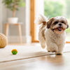 How to Make Fresh Dog Food: A Comprehensive Guide for Pet Owners