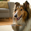 How to Make Fresh Dog Food with Chicken: A Comprehensive Guide