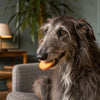 How to Make Gluten Free Dog Biscuits: A Comprehensive Guide for Pet Owners