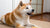 How to Make Grain-Free Dog Food: A Comprehensive Guide for Pet Owners
