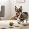 How to Make Healthy Dog Treats: A Comprehensive Guide for Pet Lovers