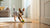 How to Make Healthy Wet Dog Food: A Practical Guide for Nourishing Your Best Friend