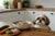How to Make Homemade Dog Food for Shih Tzu