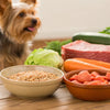 How to Make Homemade Dog Food for Yorkies: A Complete Guide