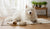 How to Make Hydrolyzed Protein Dog Food: A Comprehensive Guide-141416792303