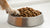 How to Make Kibble Better for Dogs: Elevate Your Pet’s Dining Experience