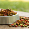 How to Make Kibble More Appealing for Dogs: Creative Tips and Tricks