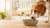 How to Make Kibble Taste Better for Dogs: Elevating Mealtime
