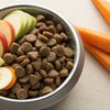 How to Make My Dog's Kibble More Appealing: Elevate Mealtime with Simple Additions