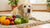 How to Make My Senior Dog Gain Weight: A Comprehensive Guide