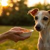 How to Make My Skinny Dog Gain Weight: A Comprehensive Guide for Pet Owners