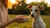 How to Make My Skinny Dog Gain Weight: A Comprehensive Guide for Pet Owners