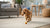 How to Make Natural Dog Treats: A Comprehensive Guide for Pet Lovers
