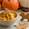 How to Make Pumpkin Cookies for Dogs: A Delightful Fall Treat