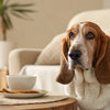 How to Make Puppy Food at Home: A Comprehensive Guide for Pet Parents