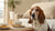 How to Make Puppy Food at Home: A Comprehensive Guide for Pet Parents