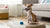 How to Make Soft Dog Treats: A Comprehensive Guide for Pet Owners