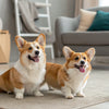 How to Make Wet Dog Food: A Comprehensive Guide for Loving Pet Owners