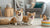 How to Make Wet Dog Food: A Comprehensive Guide for Loving Pet Owners