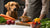 How to Make Wet Food for Dogs: A Comprehensive Guide