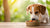 How to Make Your Dog Eat More Food: Tips and Tricks for Encouraging a Healthier Appetite