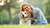 How to Make Your Dog Lose Weight: A Comprehensive Guide for Pet Parents