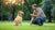 How to Manage Aggressive Dog Behavior: A Comprehensive Guide-141101072623
