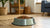 How to Manage Your Dog's Food Theft: Effective Strategies and Alternatives-140405407983