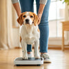 How to Measure Dog Weight: A Comprehensive Guide for Pet Owners