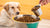 How to Measure Dry Dog Food: A Comprehensive Guide for Pet Owners