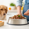 How to Measure Wet Dog Food: A Comprehensive Guide for Pet Owners