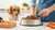 How to Measure Wet Dog Food: A Comprehensive Guide for Pet Owners