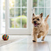 How to Mix Kibble with Wet Food: A Comprehensive Guide for Pet Owners
