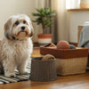 How to Prepare Kibble for a Puppy: A Comprehensive Guide for New Pet Owners