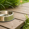 How to Prevent Algae Growth in Dog Water Bowl: Essential Tips for Pet Owners