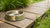 How to Prevent Algae Growth in Dog Water Bowl: Essential Tips for Pet Owners