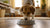 How to Prevent Your Dog from Spilling Water Bowl: Tips and Tricks for a Mess-Free Home