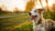 How to Put More Weight on My Dog: A Comprehensive Guide for Concerned Pet Owners