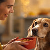 How to Put Weight on a Diabetic Dog: A Comprehensive Guide