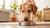 How to Put Weight on a Dog Naturally: Effective Strategies for Healthy Weight Gain