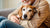 How to Put Weight on an Old Dog: A Comprehensive Guide for Pet Owners
