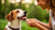 How to Put Weight on Your Dog: A Comprehensive Guide
