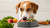 How to Put Your Dog on a Raw Food Diet: A Comprehensive Guide for Pet Parents