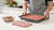 How to Quickly Defrost Raw Dog Food: Best Practices for Pet Owners