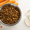 How to Reduce Dog Food to Lose Weight: A Comprehensive Guide for Pet Owners