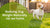 How to Reduce Dog Weight at Home Naturally: An Essential Guide for Pet Owners