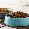 How to Rehydrate Freeze-Dried Dog Food: A Comprehensive Guide for Pet Owners