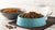 How to Rehydrate Freeze-Dried Dog Food: A Comprehensive Guide for Pet Owners