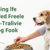 How to Serve Freeze-Dried Dog Food: A Comprehensive Guide for Pet Owners