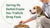 How to Serve Freeze-Dried Dog Food: A Comprehensive Guide for Pet Owners